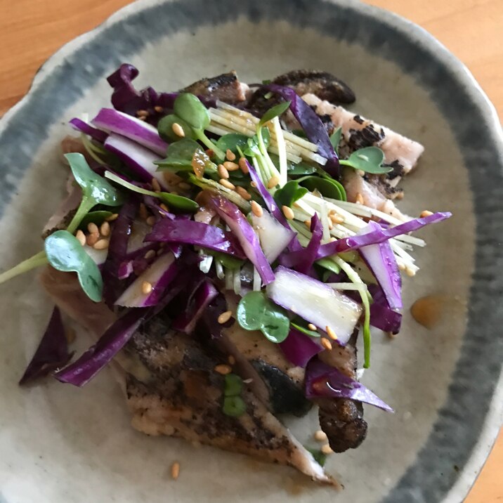 鰹のたたきとカイワレ、紫キャベツのサラダ